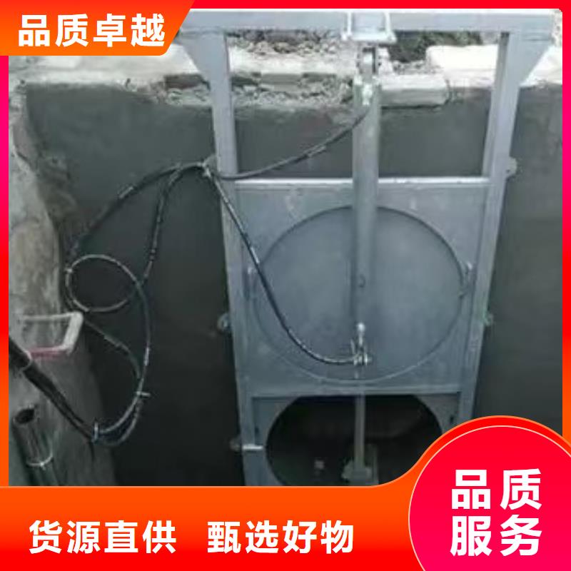 订购<瑞鑫>雨水污水泵站闸门