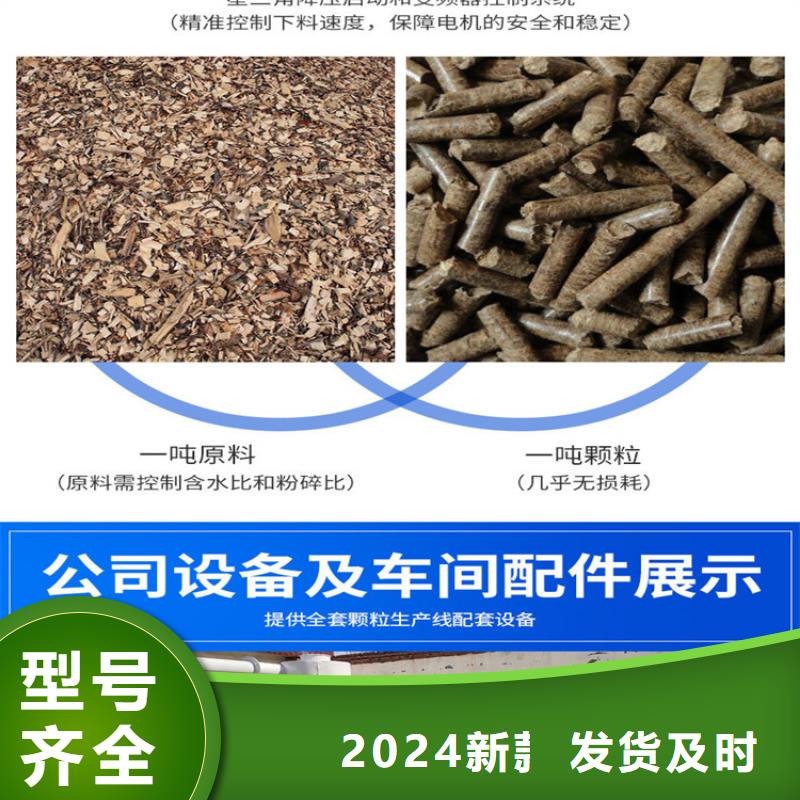 顆粒機液壓廢鋼龍門剪源頭工廠