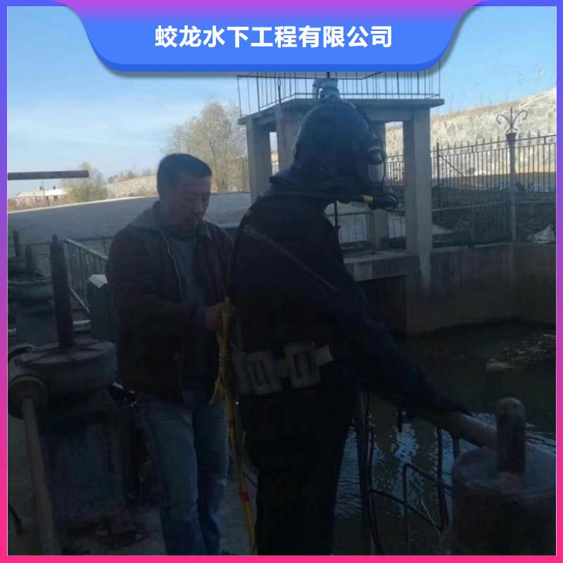 水下檢查公司【本地施工隊(duì)】