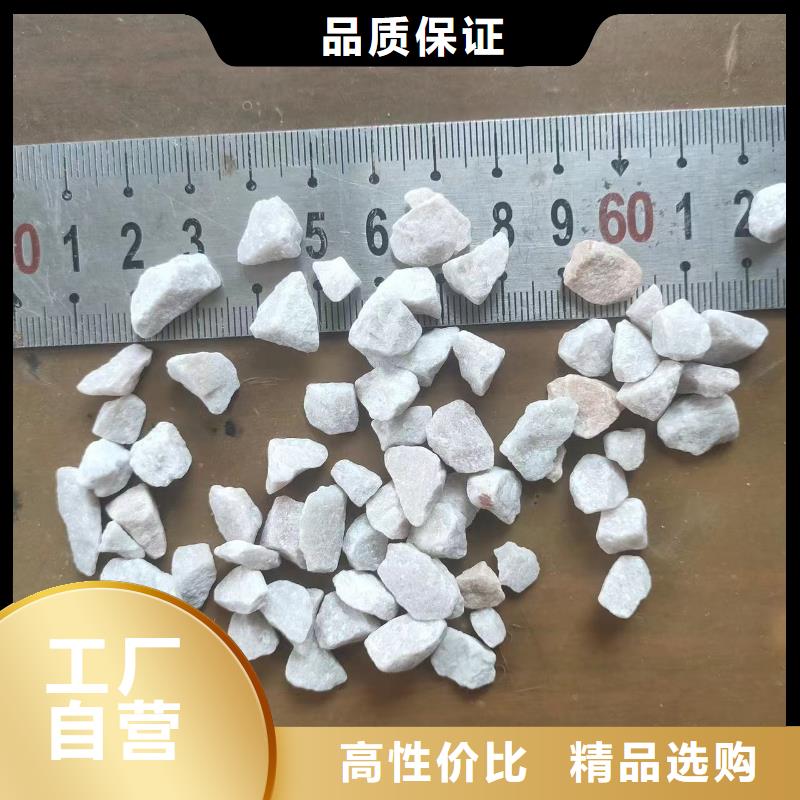 石英砂質保一年