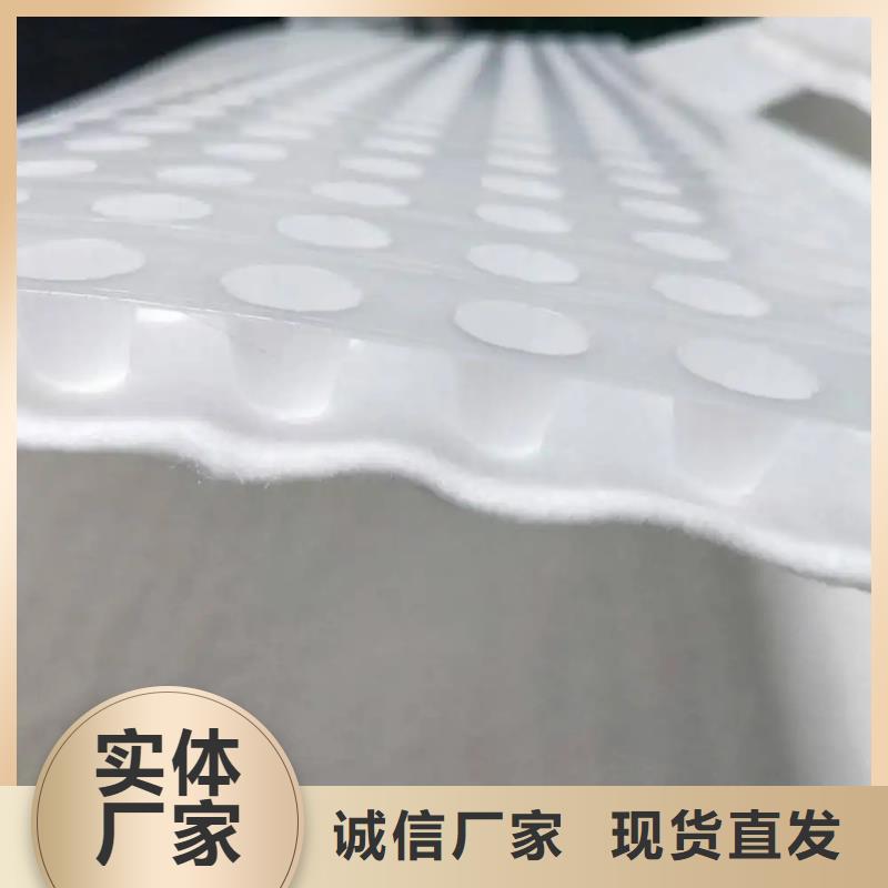 虹吸排水排水板供您所需