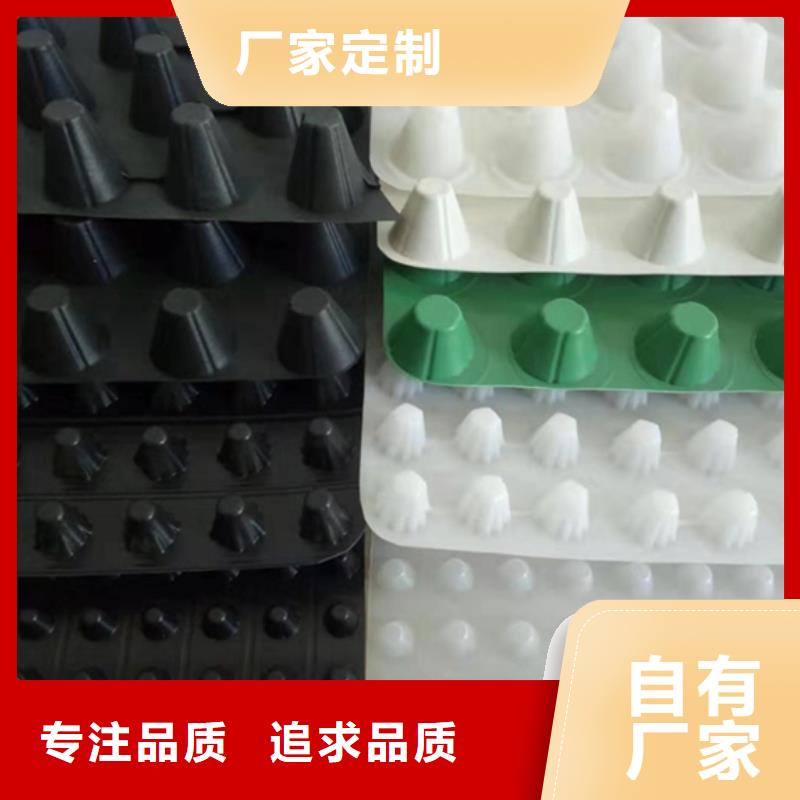 虹吸排水排水板實力才是硬道理