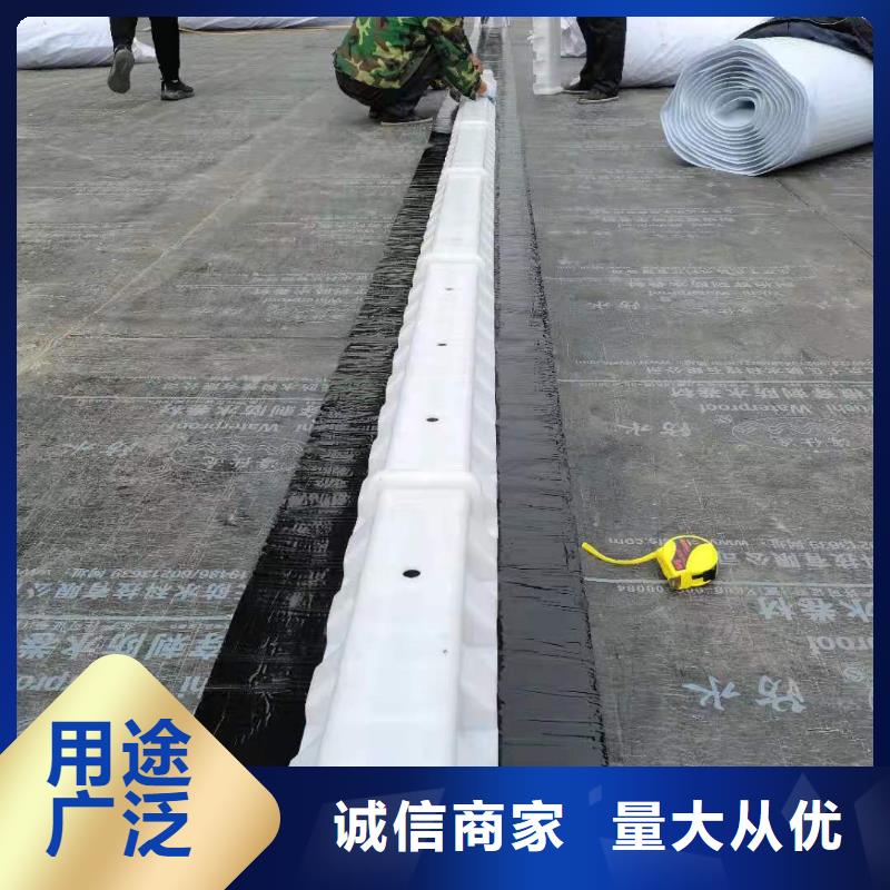 虹吸排水水泥化糞池源廠供貨