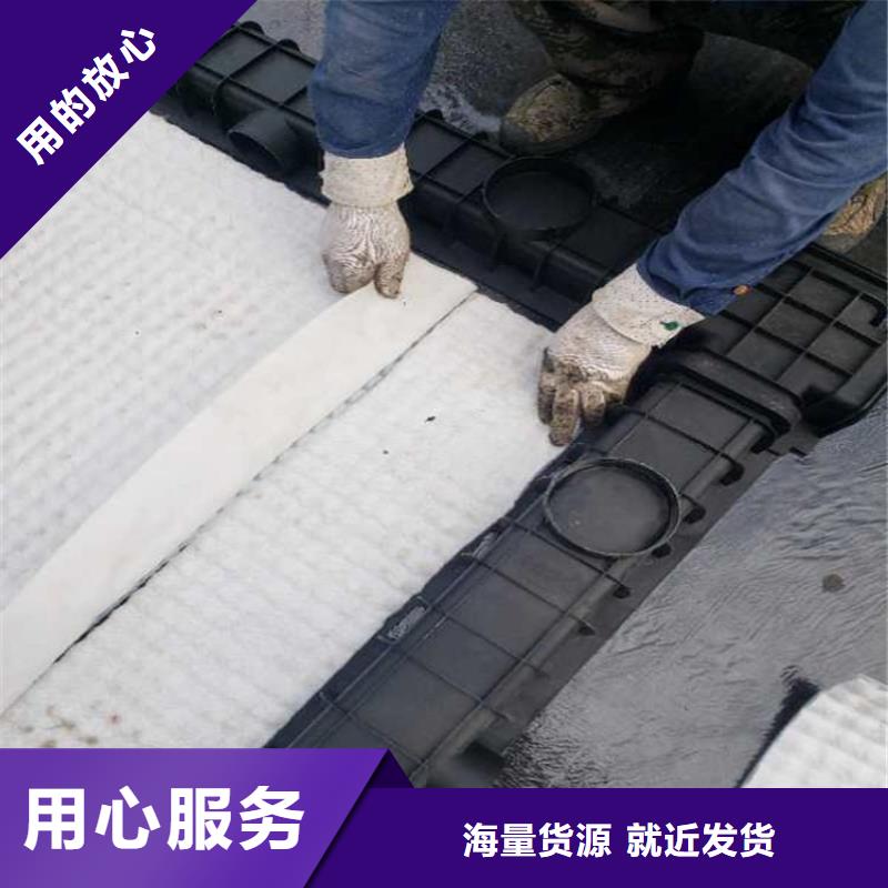 虹吸排水植草格價格實惠工廠直供
