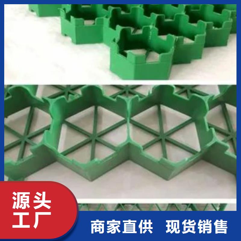 植草格,植草格客戶信賴的廠家