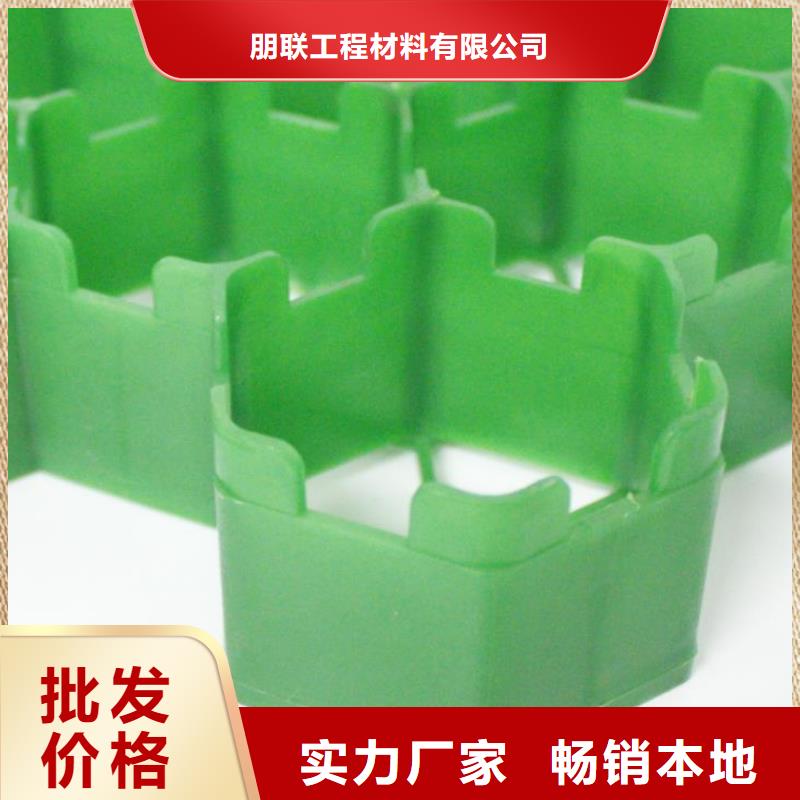 植草格【排水板】實(shí)體廠家
