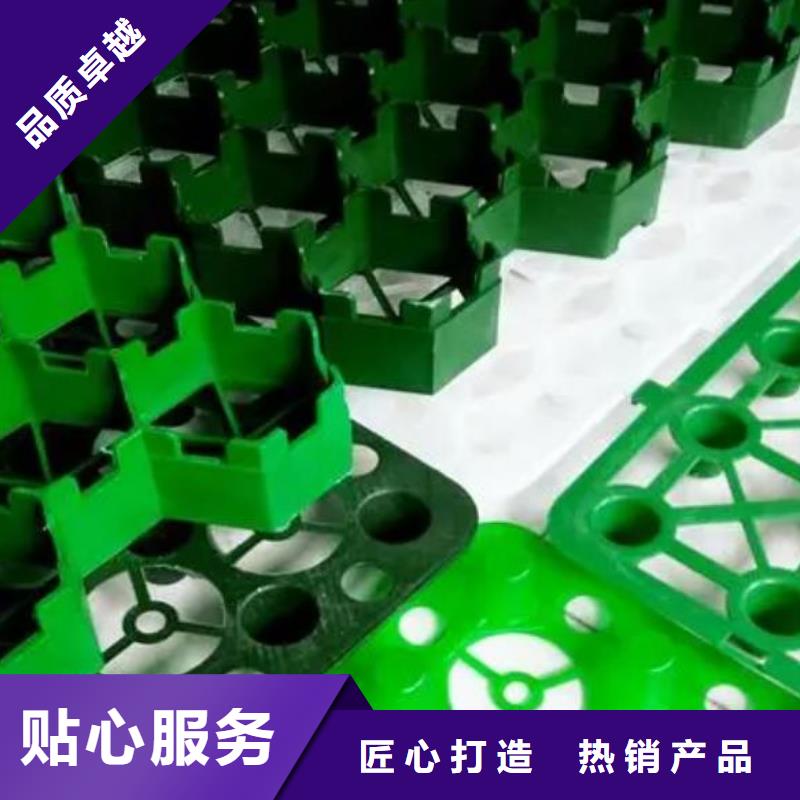 植草格防護(hù)虹吸排水收集系統(tǒng)定制批發(fā)