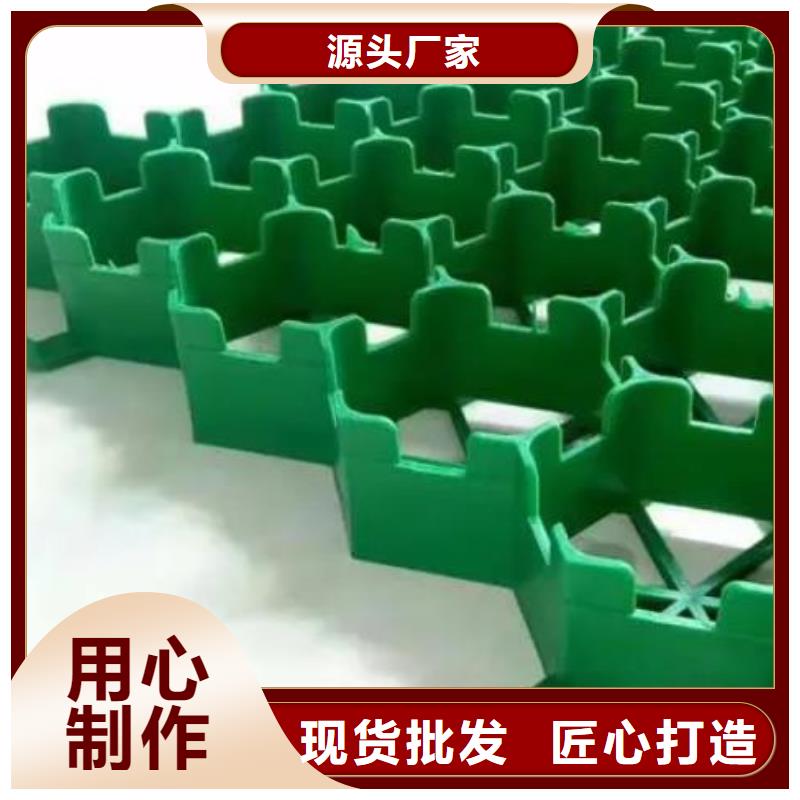 植草格制造廠家