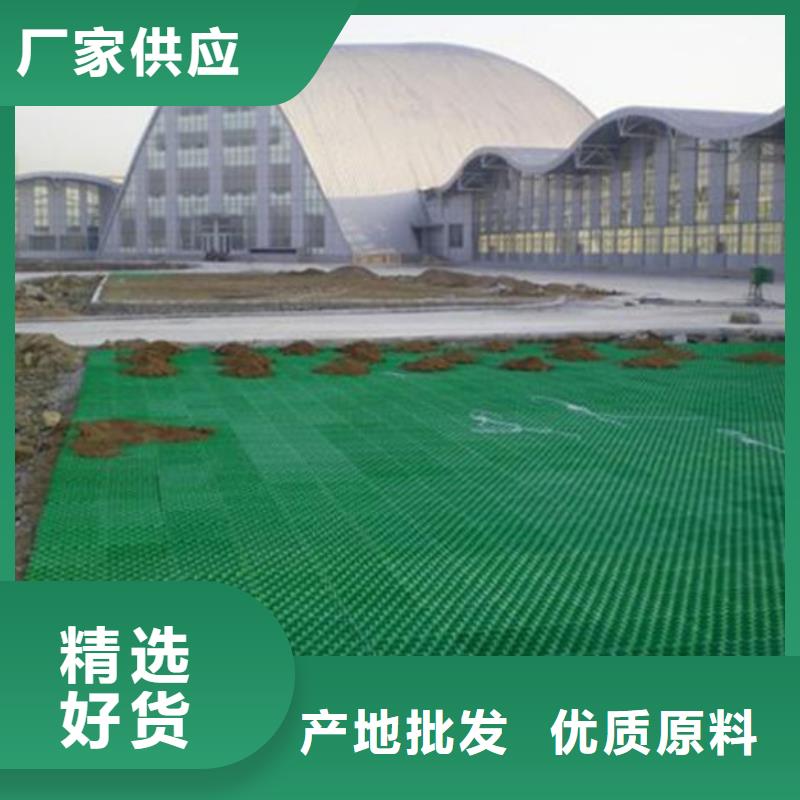 植草格_植草格廠家貨源穩(wěn)定