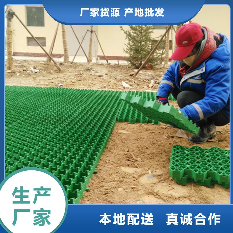 植草格制造廠家