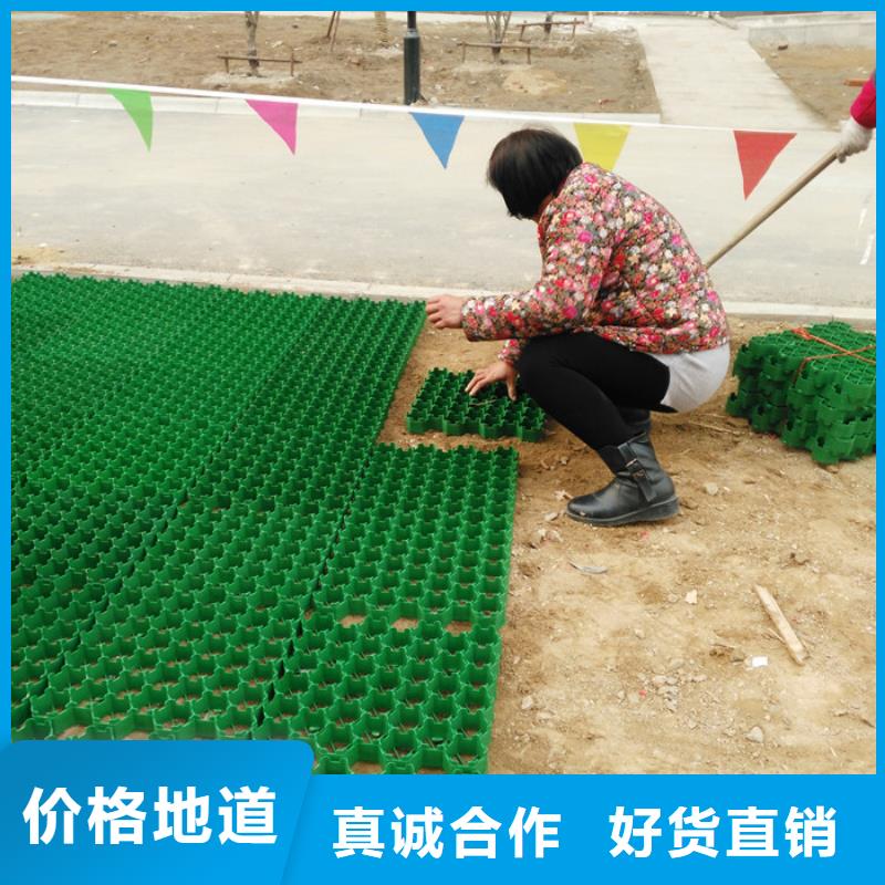 植草格【排水板】實(shí)體廠家