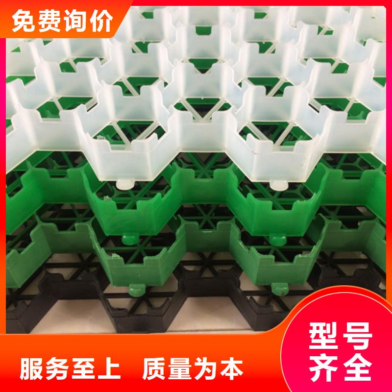 植草格制造廠家