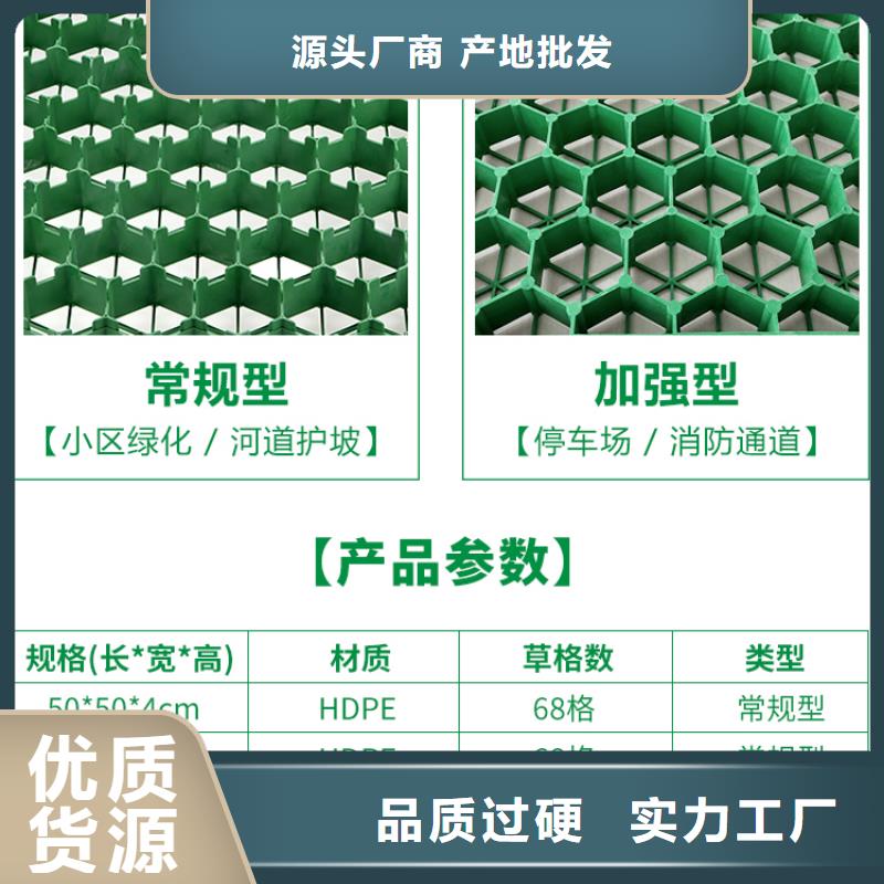 塑料植草格-3公分植草格现货发售
