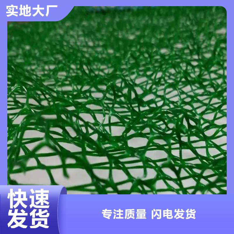 三維植被網(wǎng)植草格經(jīng)驗(yàn)豐富品質(zhì)可靠