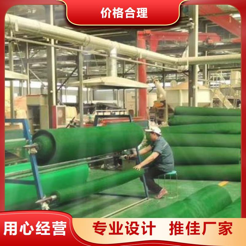 三維植被網(wǎng)植草格經(jīng)驗(yàn)豐富品質(zhì)可靠