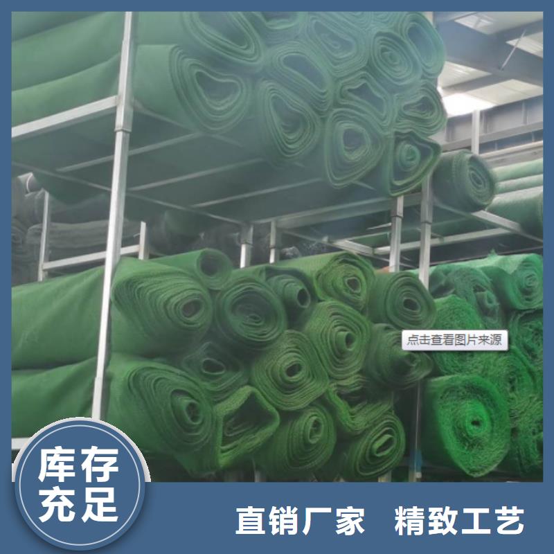 三維植被網(wǎng)植草格專注質(zhì)量