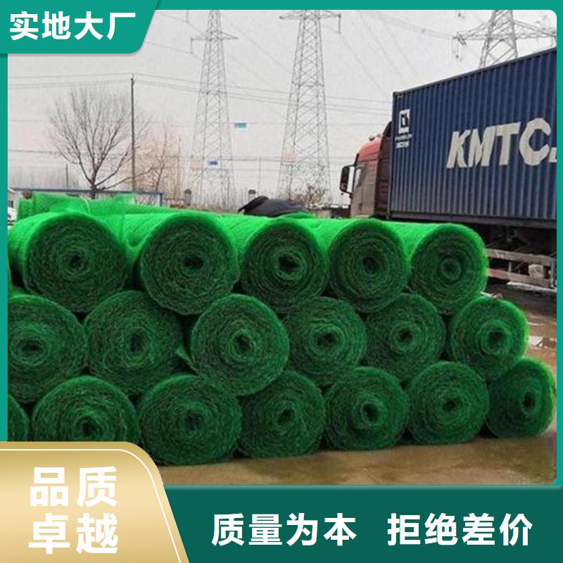 【三維植被網_植草格匠心品質】