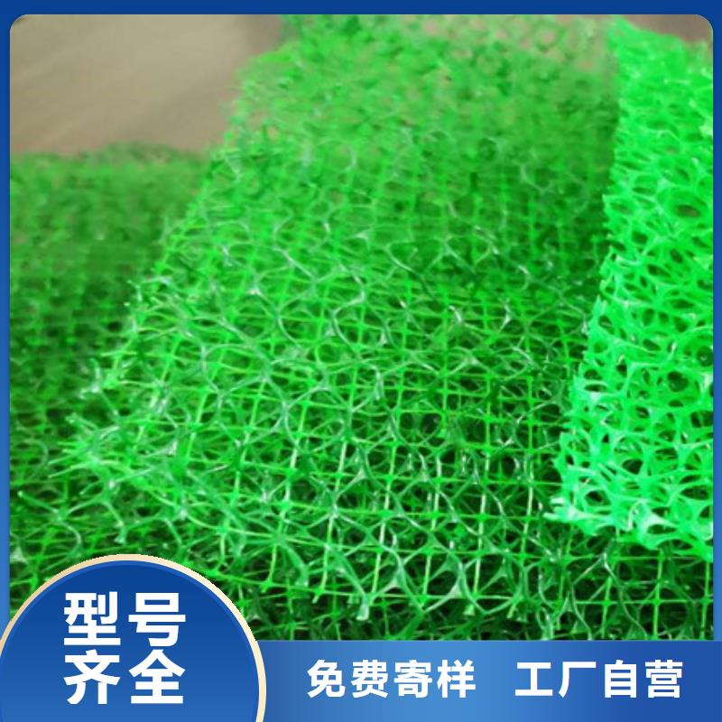 【三維植被網植草格細節嚴格凸顯品質】