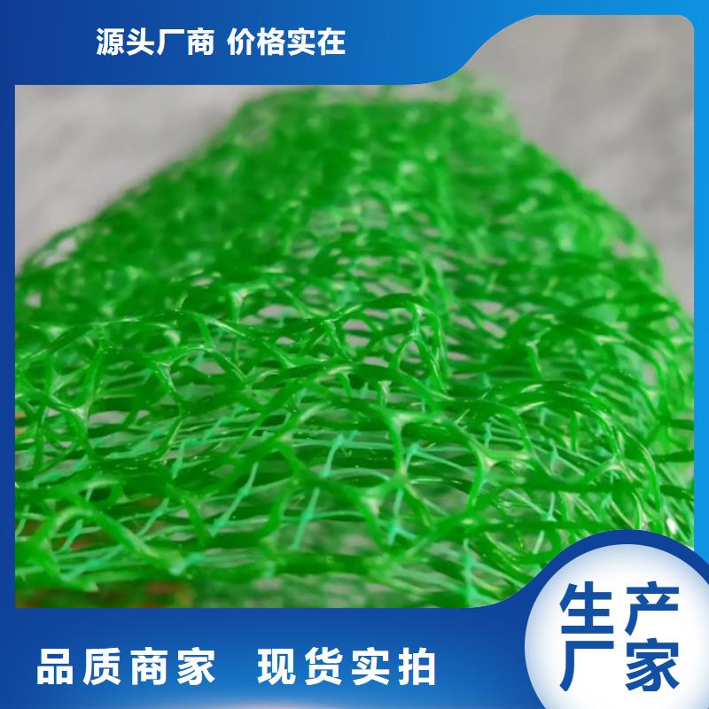 【三維植被網(wǎng)_防護(hù)虹吸排水收集系統(tǒng)規(guī)格齊全】