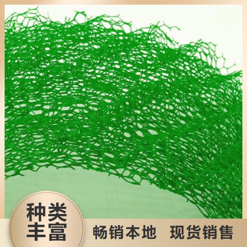 三維植被網(wǎng)植草格經(jīng)驗(yàn)豐富品質(zhì)可靠