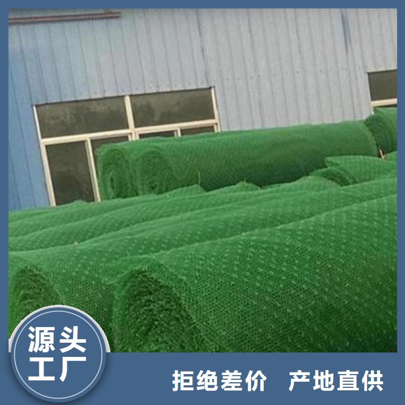 三維植被網化糞池水泥自營品質有保障