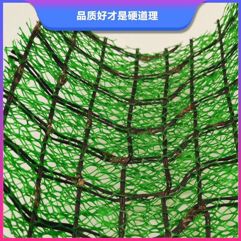三維植被網水泥化糞池產品細節參數