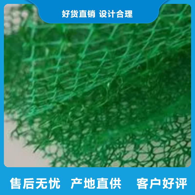 【三維植被網排水板廠家工藝先進】