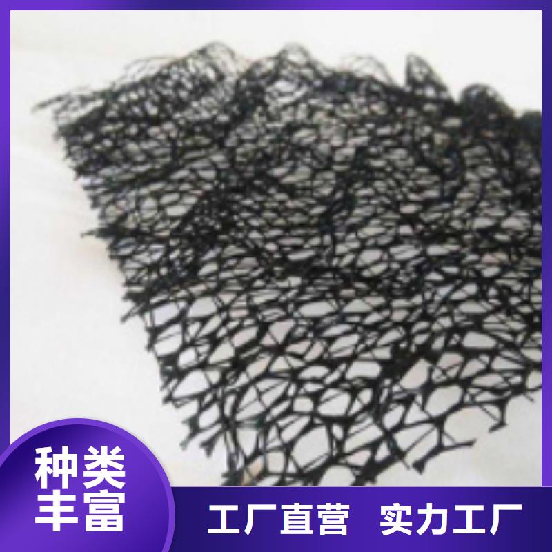 三維植被網(wǎng)排水板品質(zhì)過(guò)硬