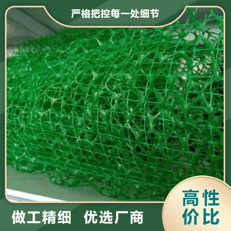三維植被網(wǎng)化糞池水泥自營品質(zhì)有保障