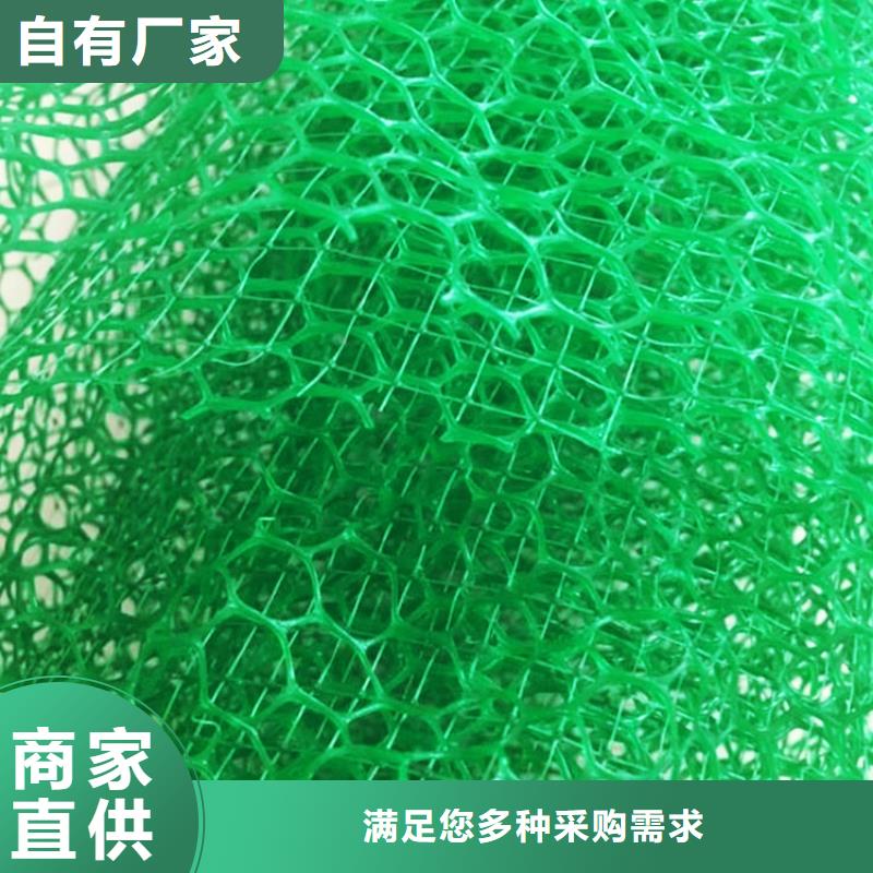 【三維植被網(wǎng)_防護(hù)虹吸排水收集系統(tǒng)規(guī)格齊全】