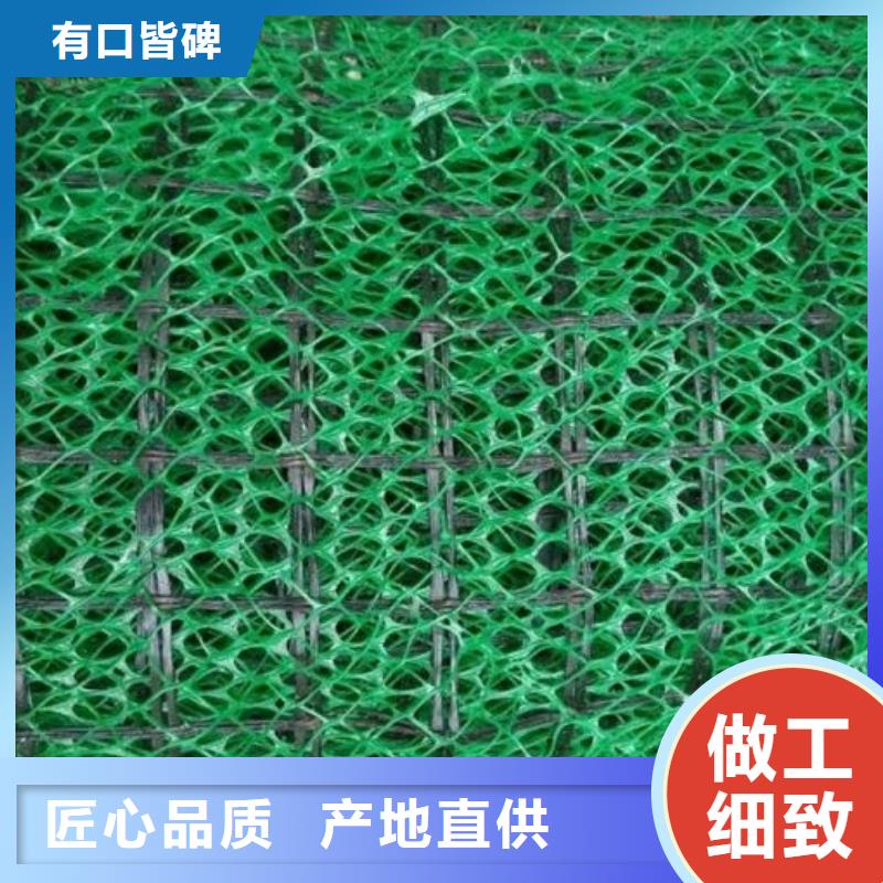 【三維植被網排水板廠家工藝先進】