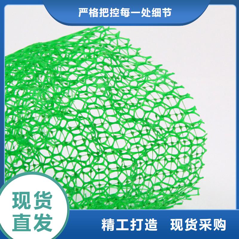 三維植被網(wǎng)植草格專注質(zhì)量