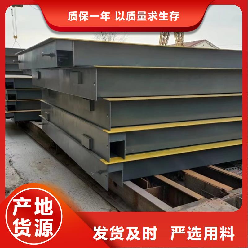 電子地磅定制地磅嚴謹工藝