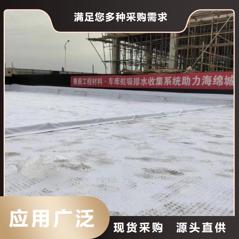 排水板塑料排水板高質(zhì)量高信譽(yù)