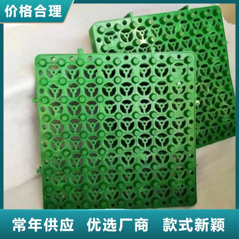 排水板塑料排水板高質(zhì)量高信譽(yù)