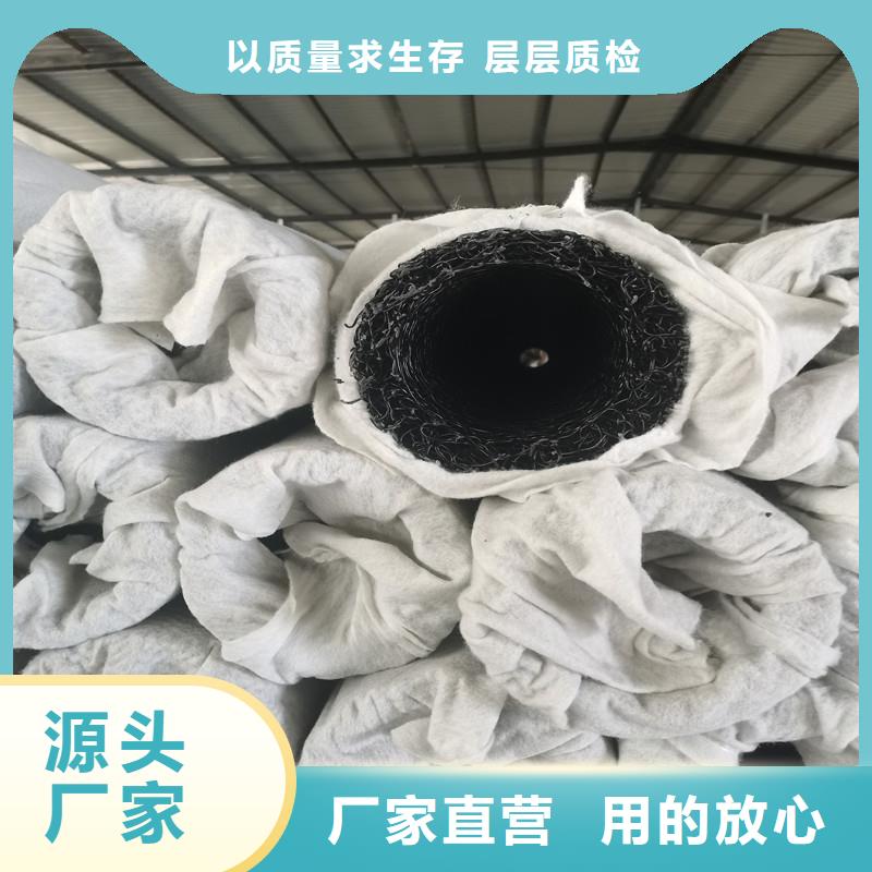 高強(qiáng)度塑料盲管排水順暢耐腐蝕廠家報(bào)價(jià)價(jià)格