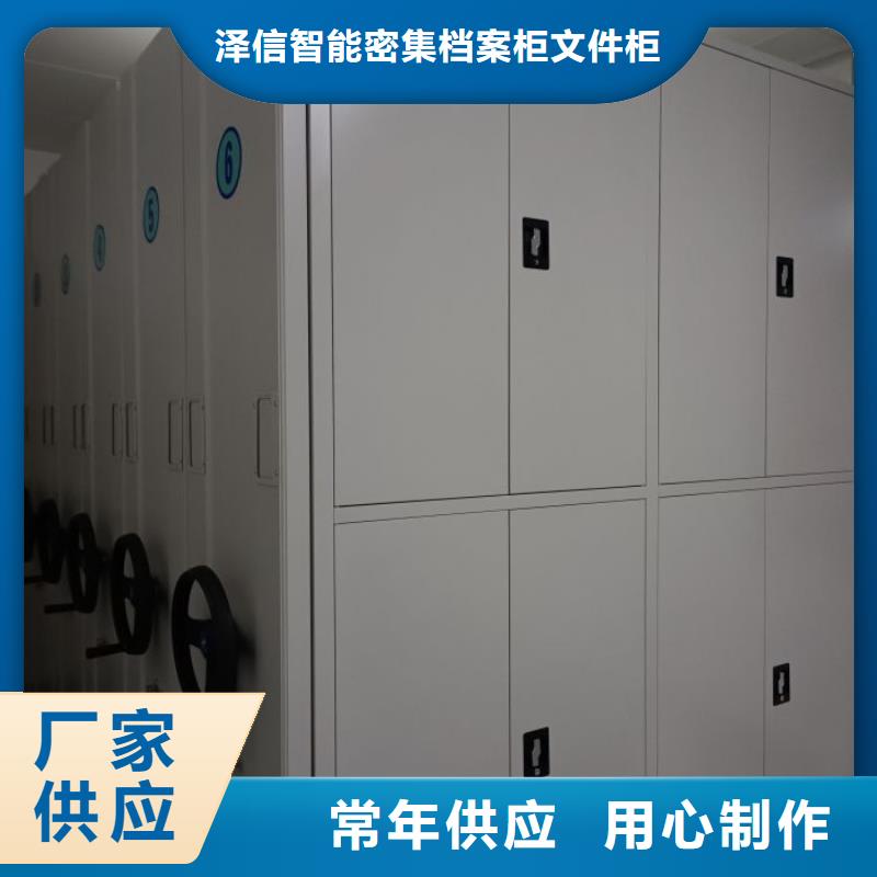 深耕市場【澤信】古籍書庫樟木密集柜