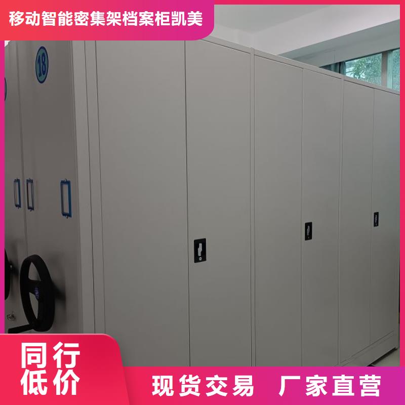 技術咨詢【凱美】企業檔案庫密集柜