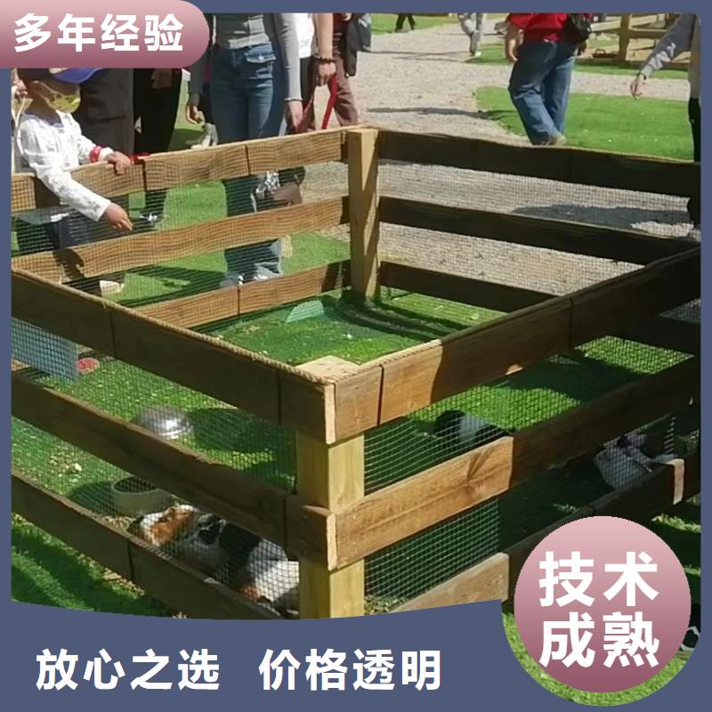 馬戲團(tuán)/羊駝海獅表演租賃效果滿意為止