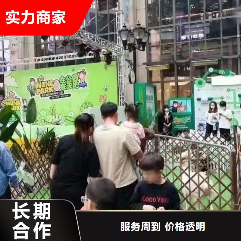 馬戲團/羊駝_動物雜技表演價格公道
