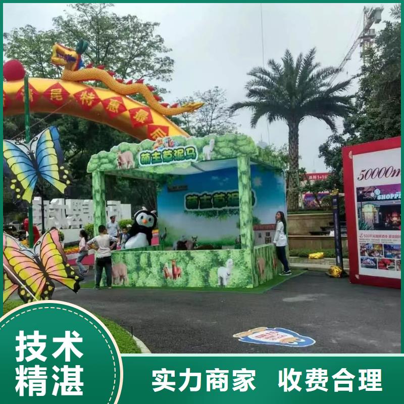 馬戲團(tuán)/羊駝海獅表演租賃效果滿意為止