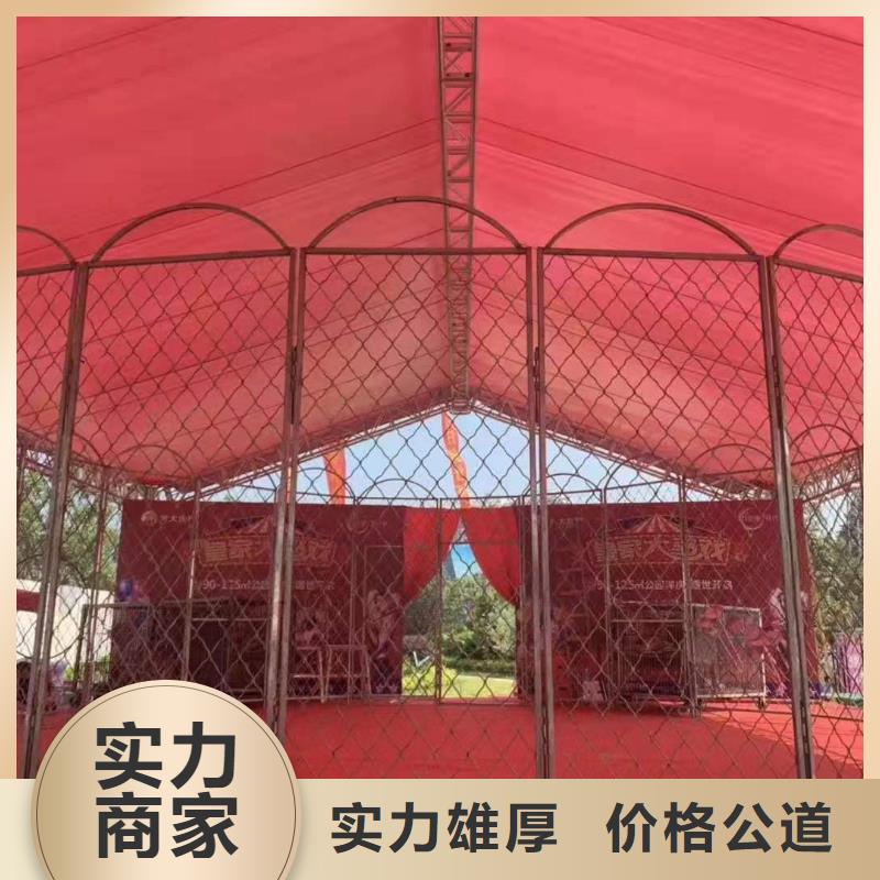 馬戲團(tuán)/羊駝海獅表演租賃效果滿意為止