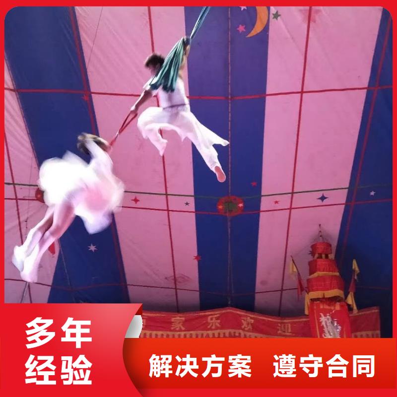 馬戲團(tuán)/羊駝【商場(chǎng)馬戲表演出租】服務(wù)熱情
