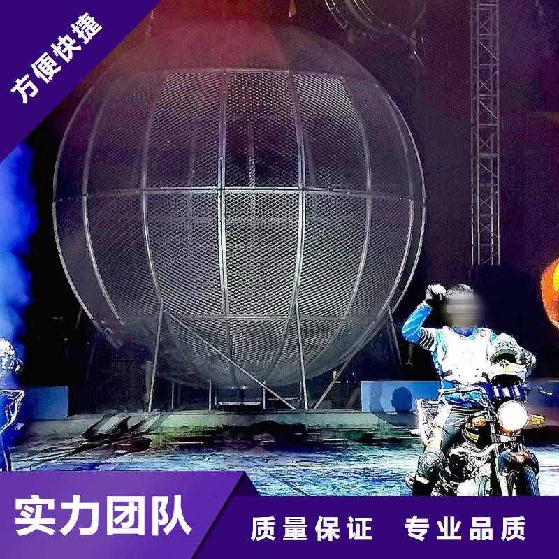 馬戲團/羊駝_動物雜技表演價格公道