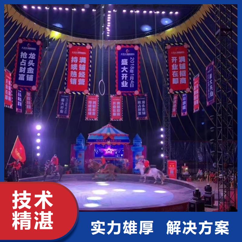 订购(兮洋)【马戏团/羊驼】美人鱼表演2024专业的团队