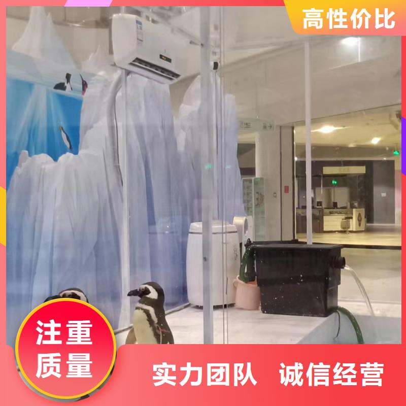 海洋主題動物表演【【美人魚出租演出】】精英團隊