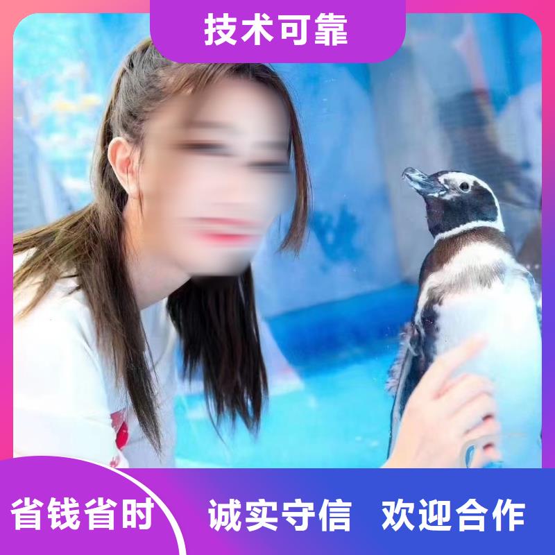 海洋主題動(dòng)物表演出租表演萌寵高性?xún)r(jià)比
