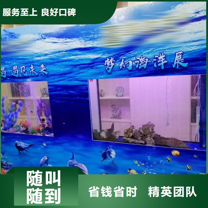 海洋主题动物表演吉祥百鸟展方便快捷