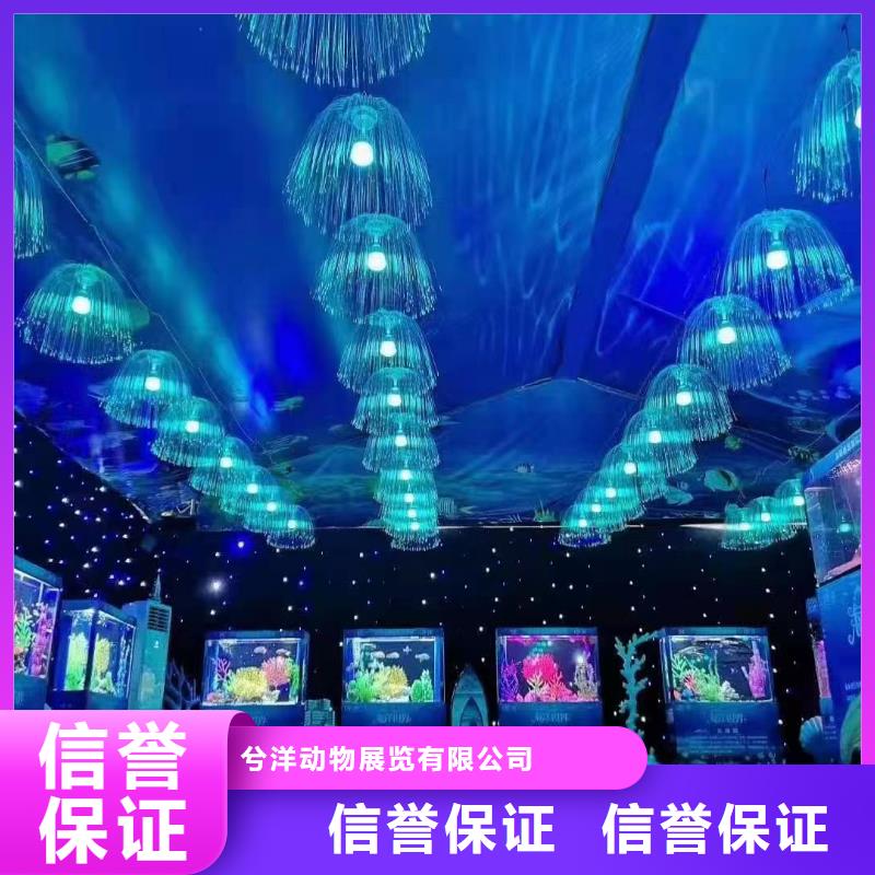 海洋主题动物表演海洋展租赁资质齐全