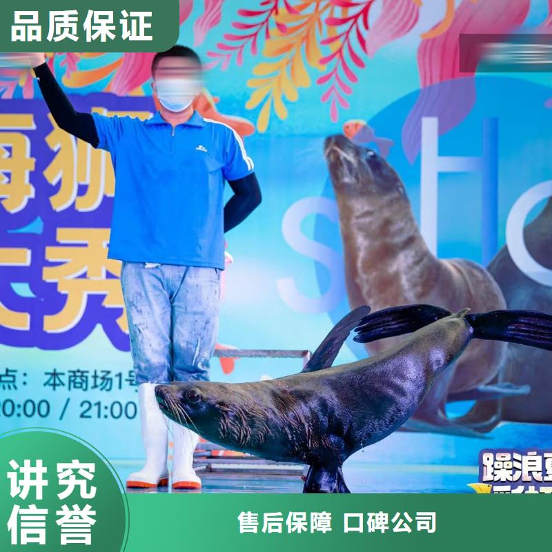 海洋主題動(dòng)物表演出租表演萌寵高性?xún)r(jià)比